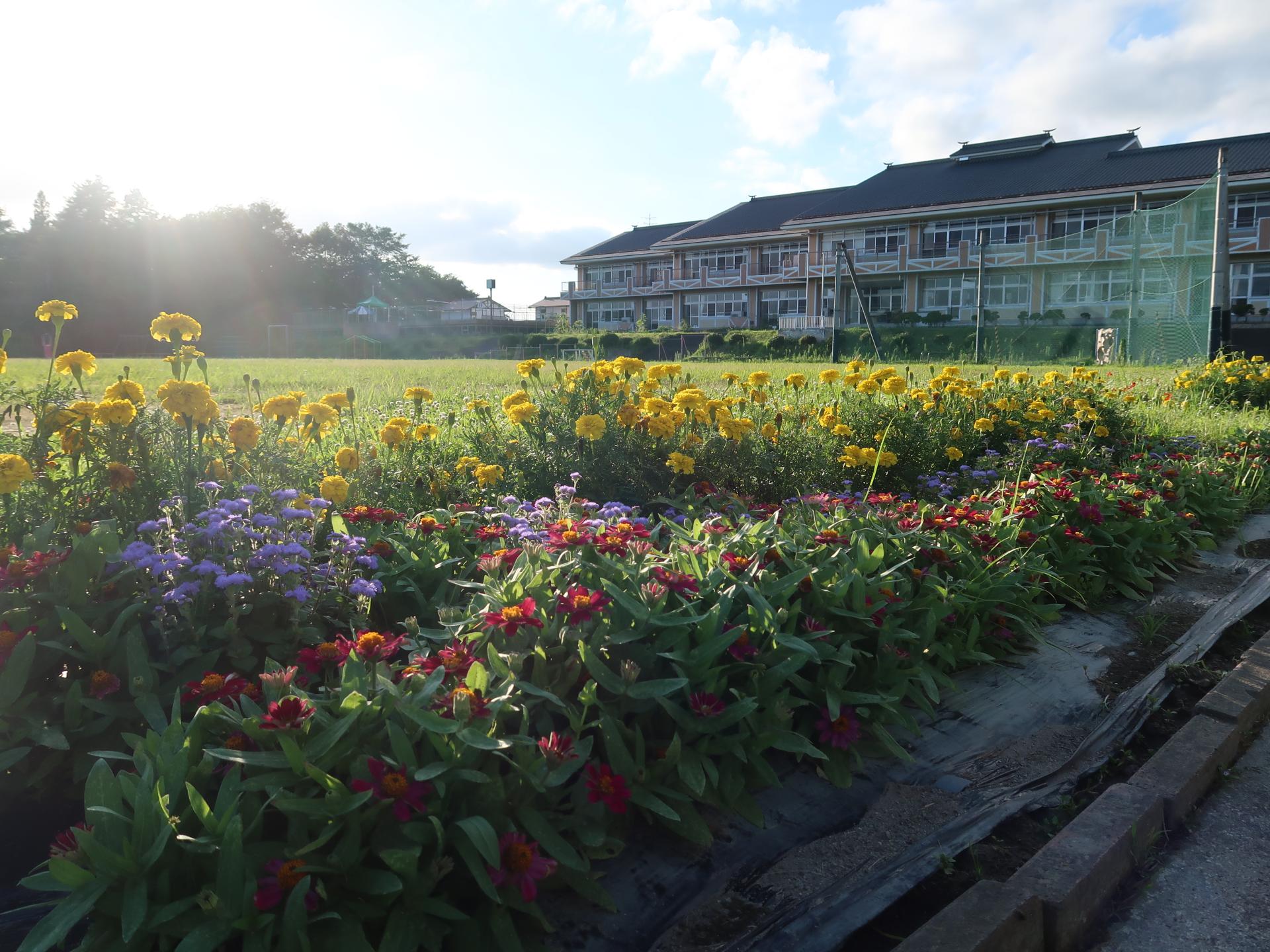 一関市立舞川小学校の花壇の写真